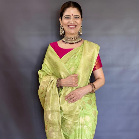 LIGHT GREEN MANGO MEENA BANARASI VISCOSE SAREE
