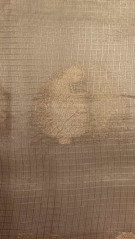 GOLD MANGO MOTIF BANARASI TISSUE KOTA SAREE