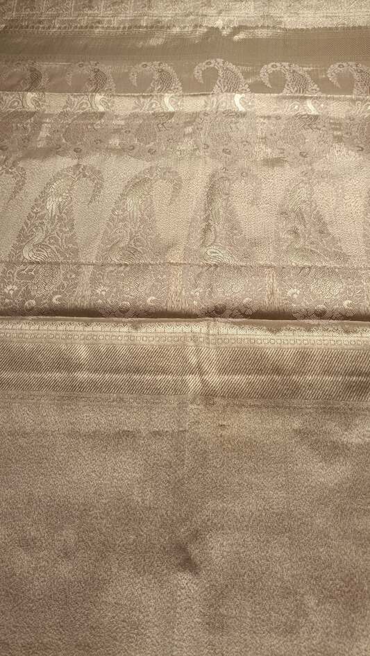 GOLDEN BEIGE BOX SHIKARGAH TISSUE KATAN BANARASI SILK SAREE