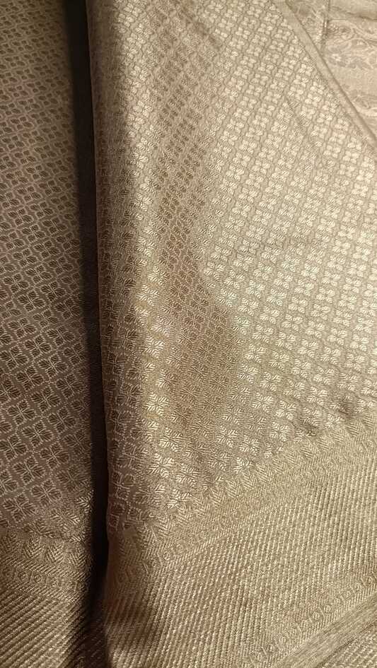 GOLDEN BEIGE BOX SHIKARGAH TISSUE KATAN BANARASI SILK SAREE
