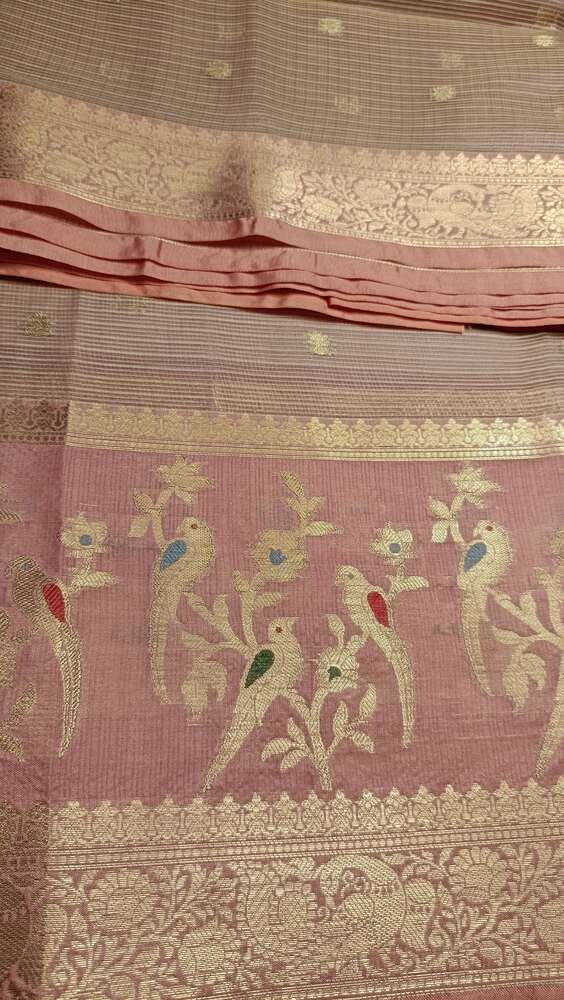 BABY PINK PARROT BANARASI KOTA