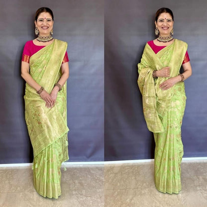LIGHT GREEN MANGO MEENA BANARASI VISCOSE SAREE