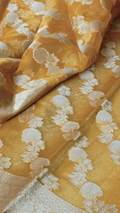 YELLOW LEHARIYA SAME BORDER BANARASI ORGANZA SAREE