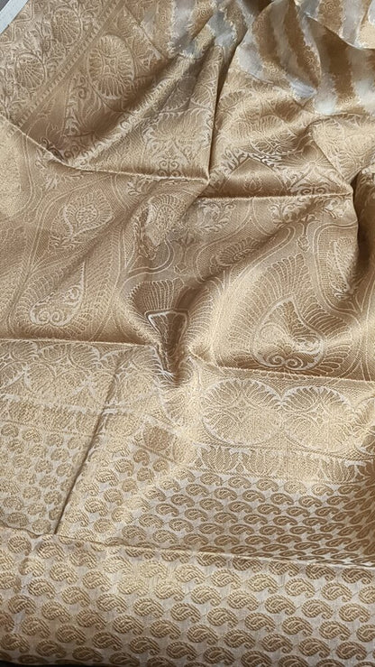 WHITE LEHARIYA SMALL BORDER BANARASI ORGANZA SAREE