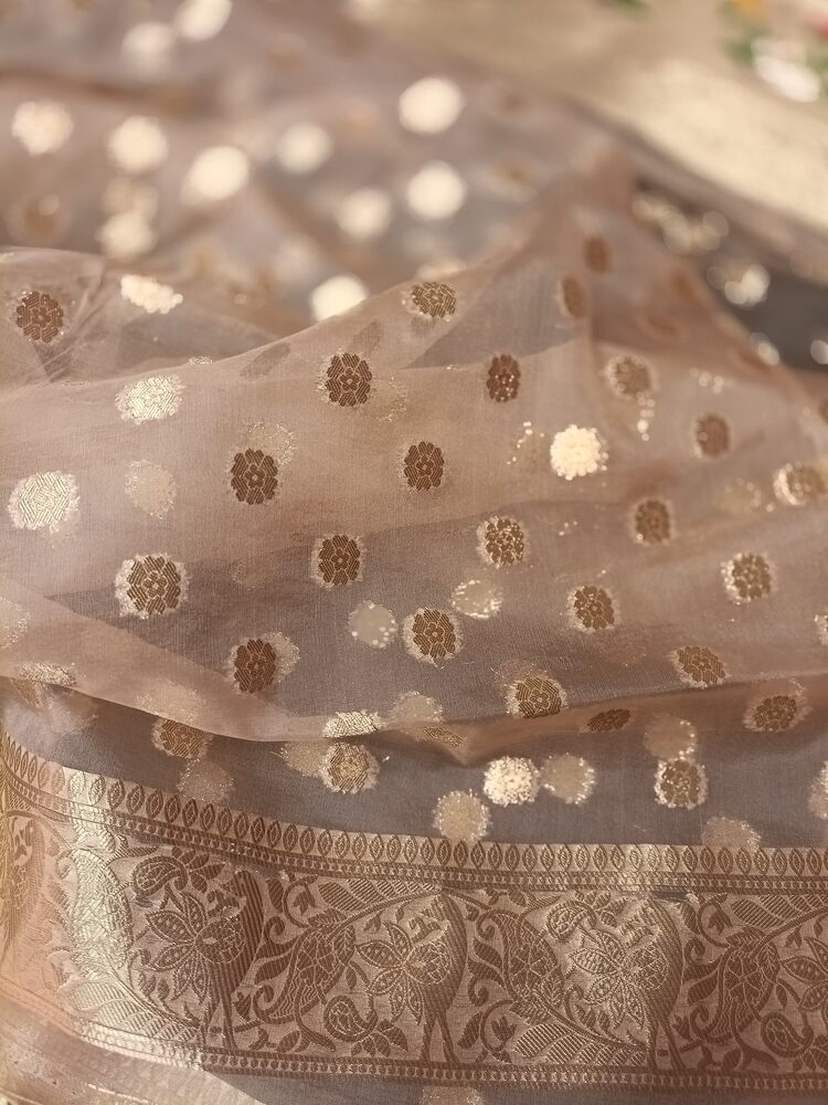 CREAM SIMPLE MANGO MOTIFS BANARASI ORGANZA SAREE