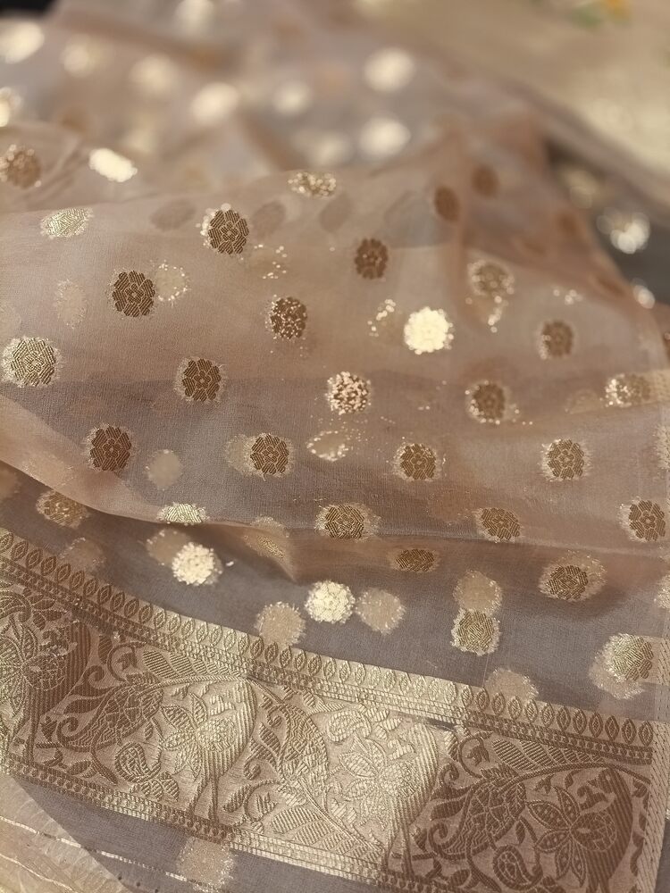 CREAM SIMPLE MANGO MOTIFS BANARASI ORGANZA SAREE