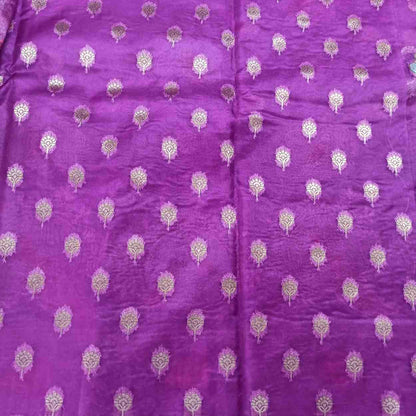 PURPLE PARROT PARTY BANARASI ORGANZA SAREE