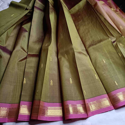 Green saree with pink and gold border on a white surface
