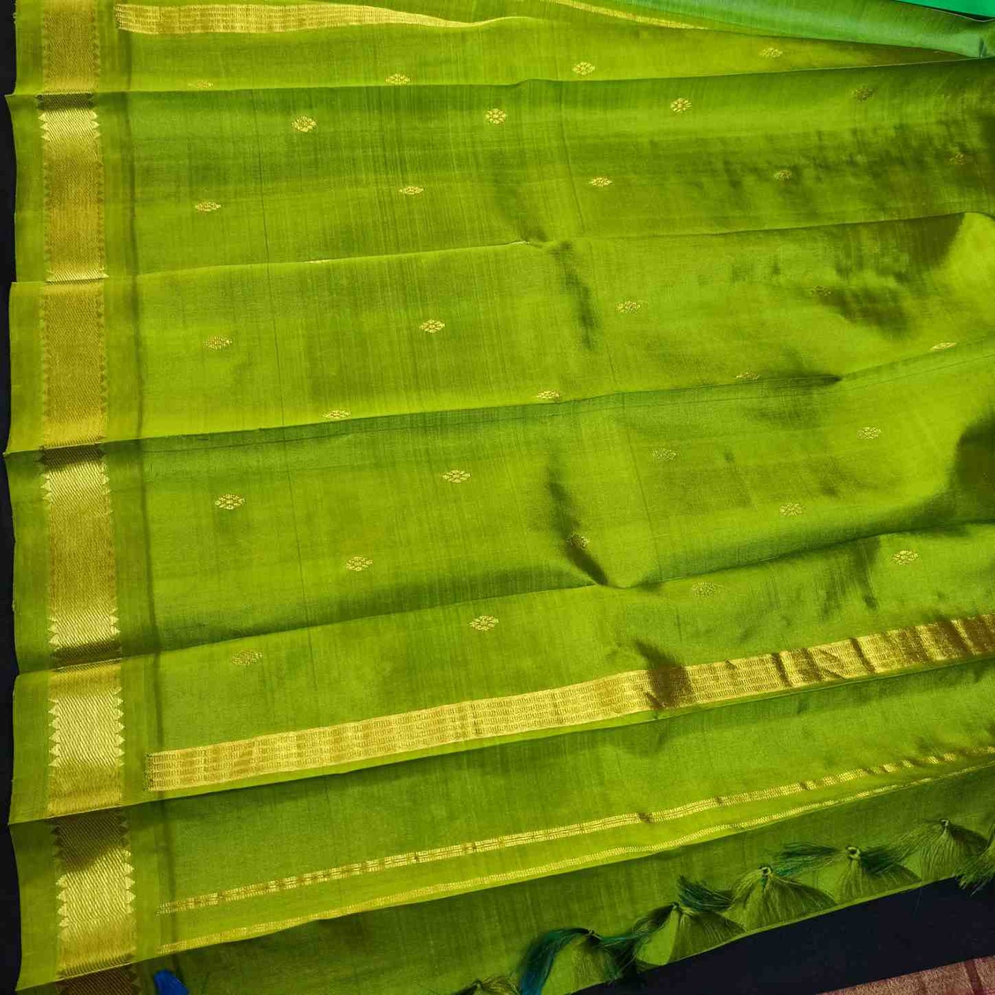 Green saree with gold border