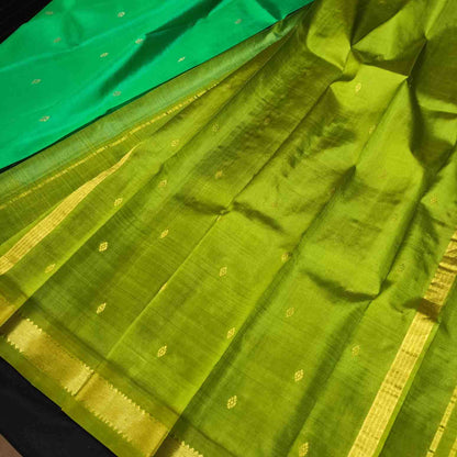 Green saree with gold border and patterns