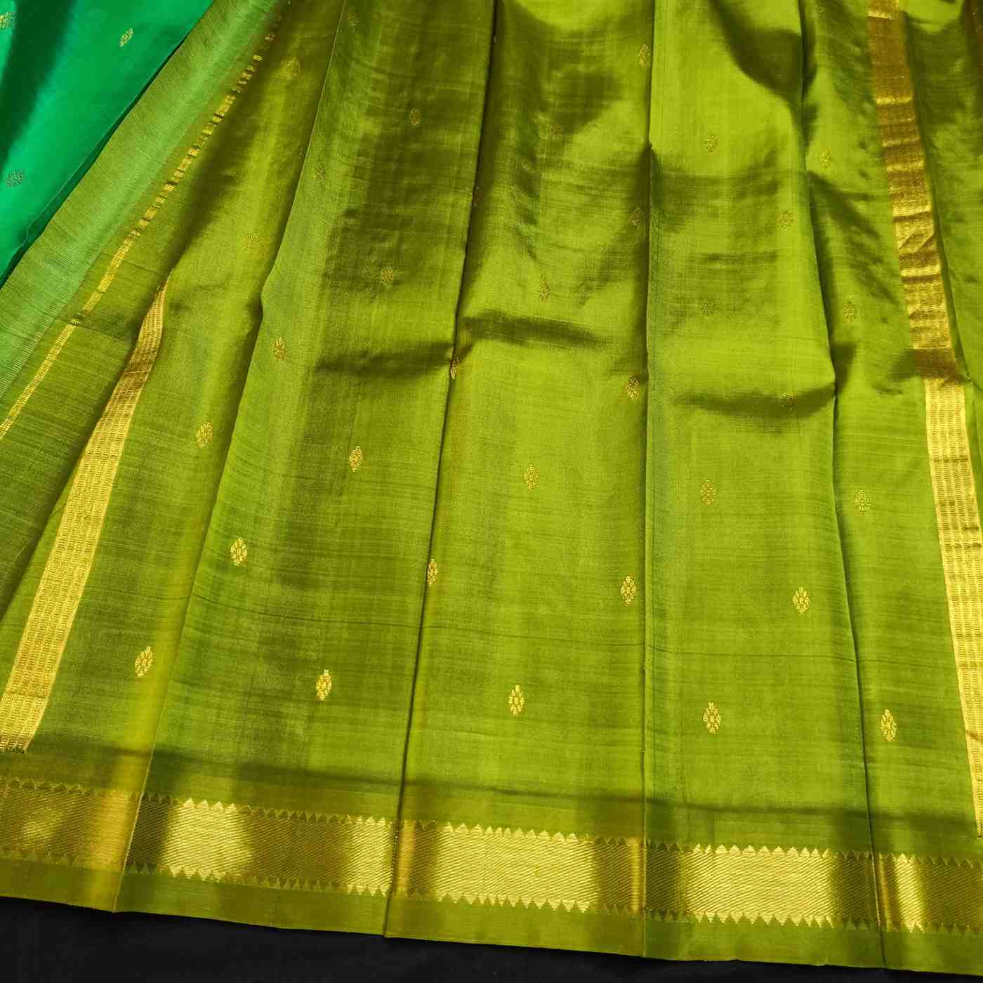 Green saree with gold border on a dark background