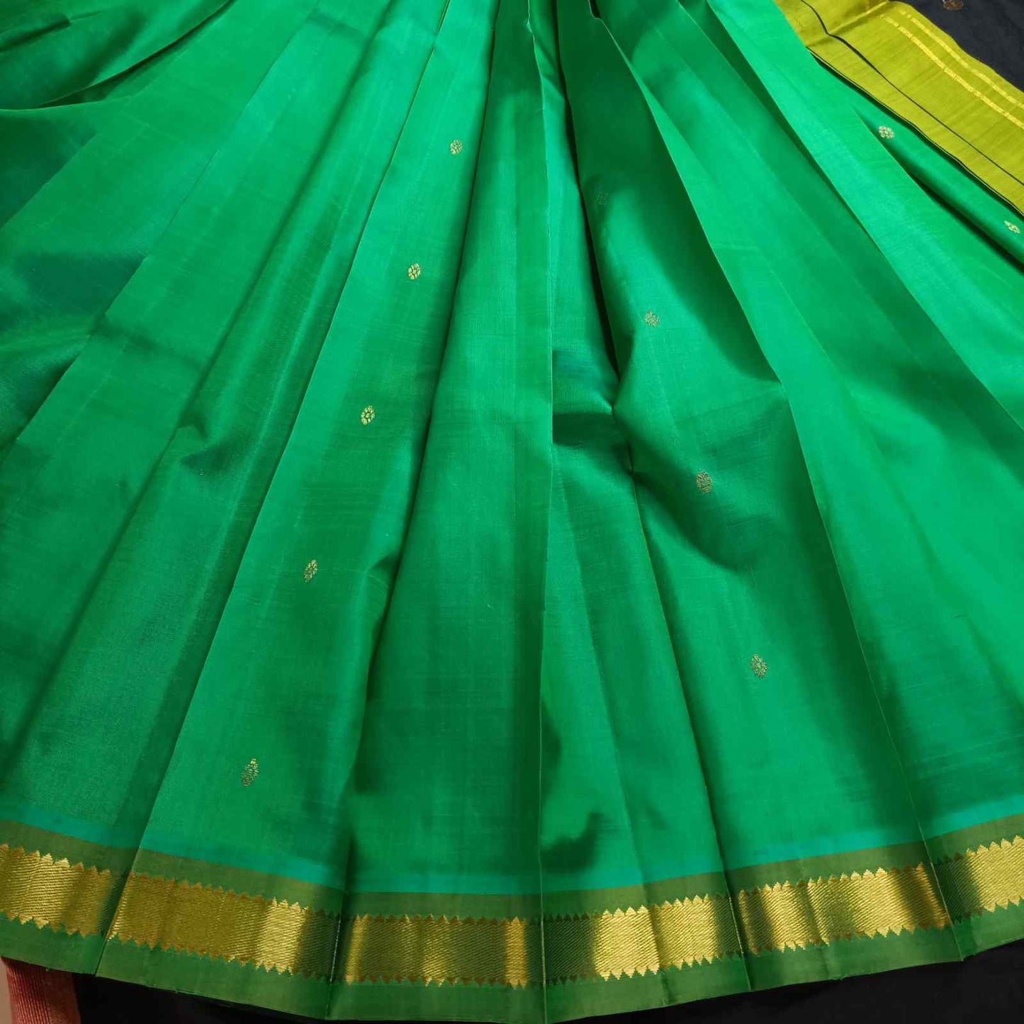 Green saree with gold border