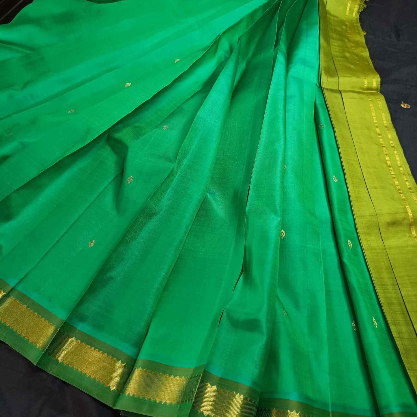 Green saree with gold border on a dark background