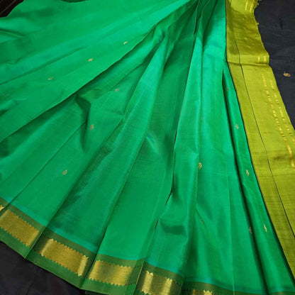 Green saree with gold border on a dark background